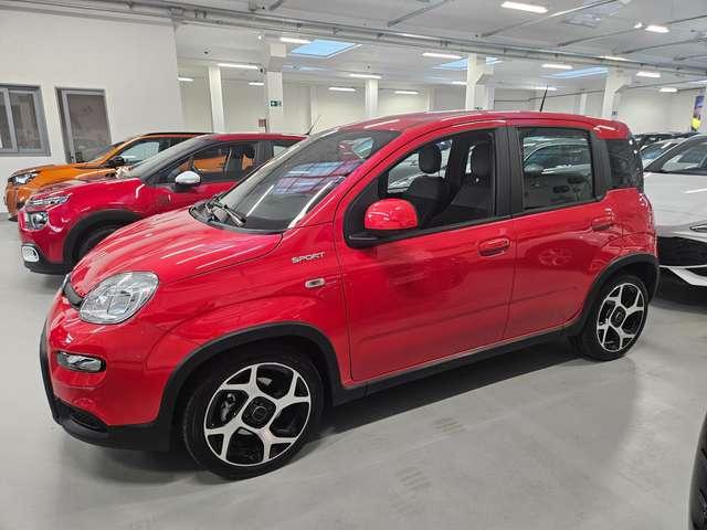 Fiat Panda Panda 1.0 hybrid 70cv Sport