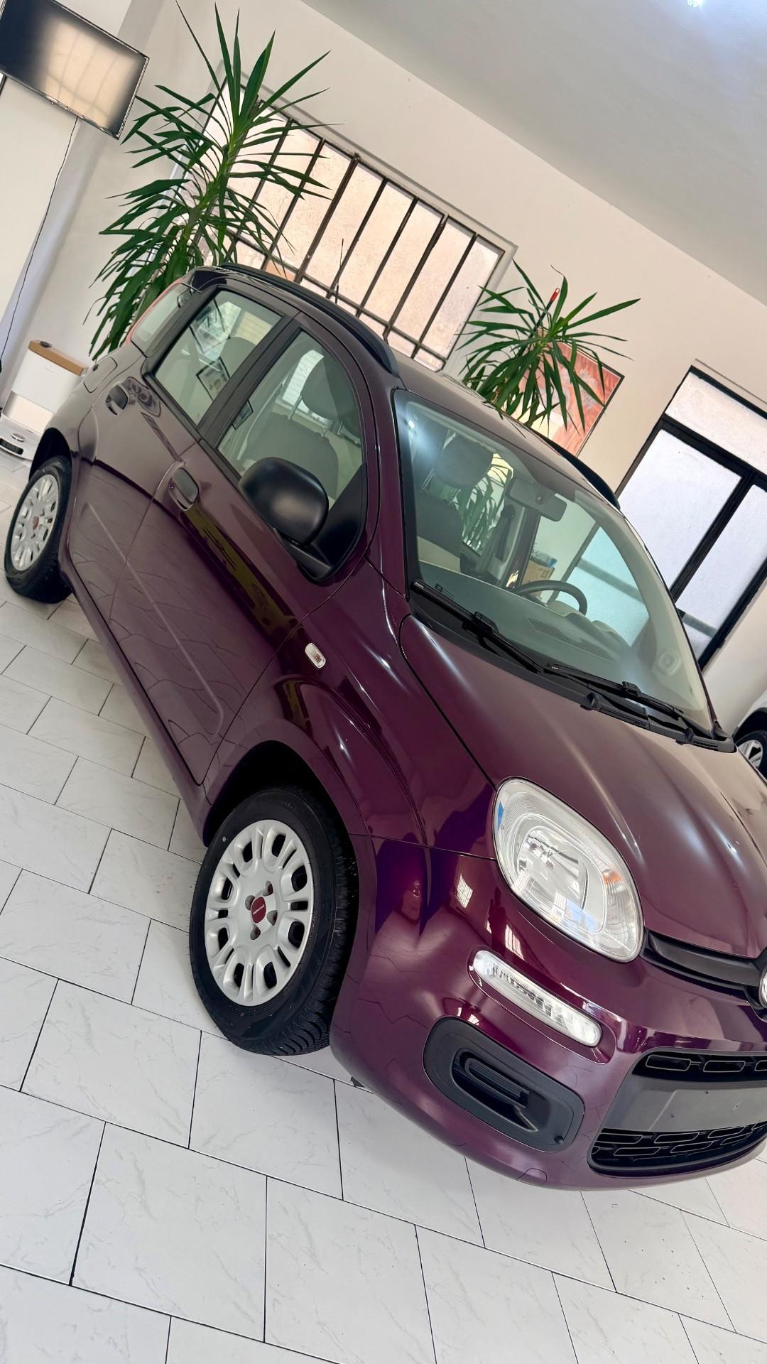 Fiat Panda Lounge