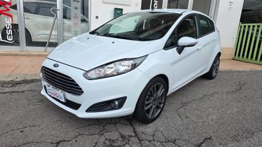 Ford Fiesta 1.5 TDCi 75CV 5 porte Titanium