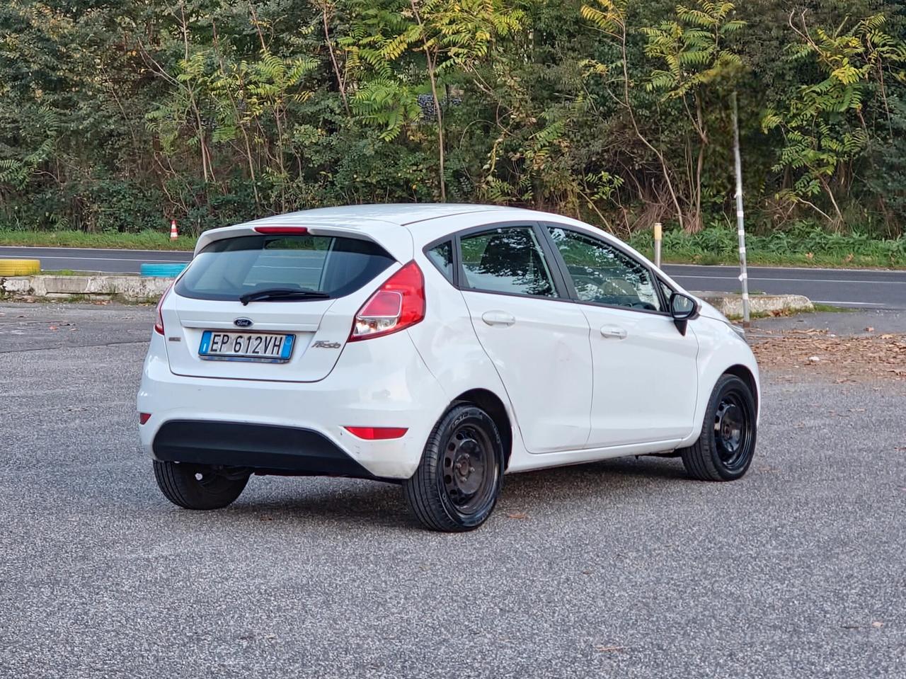 Ford Fiesta 1.5 TDCi 75CV 5 porte Titanium 2013-E5B NEO