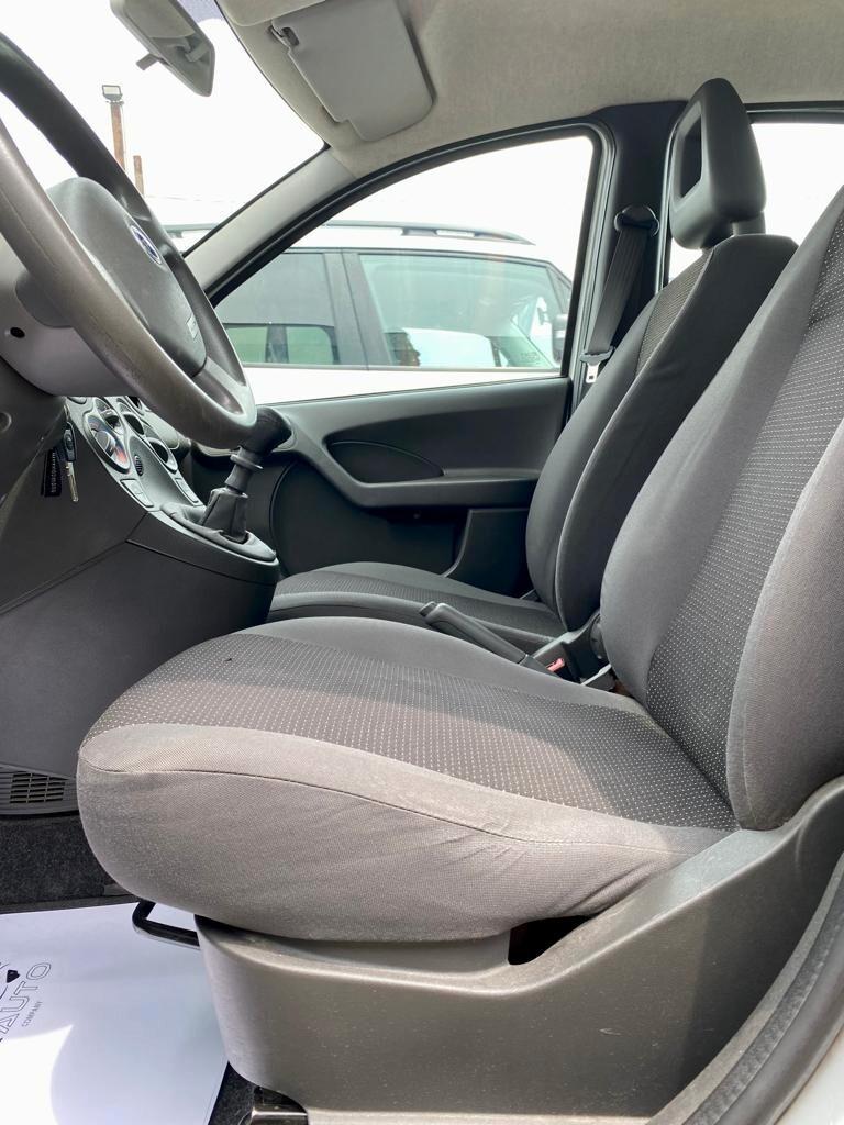 Fiat Panda 1.2 Dynamic - OK NEOPATENTATO