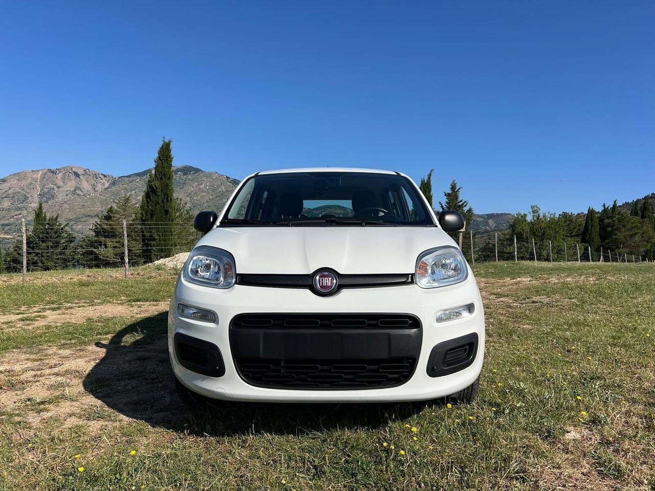 Fiat Panda 1.2 Easy 16v