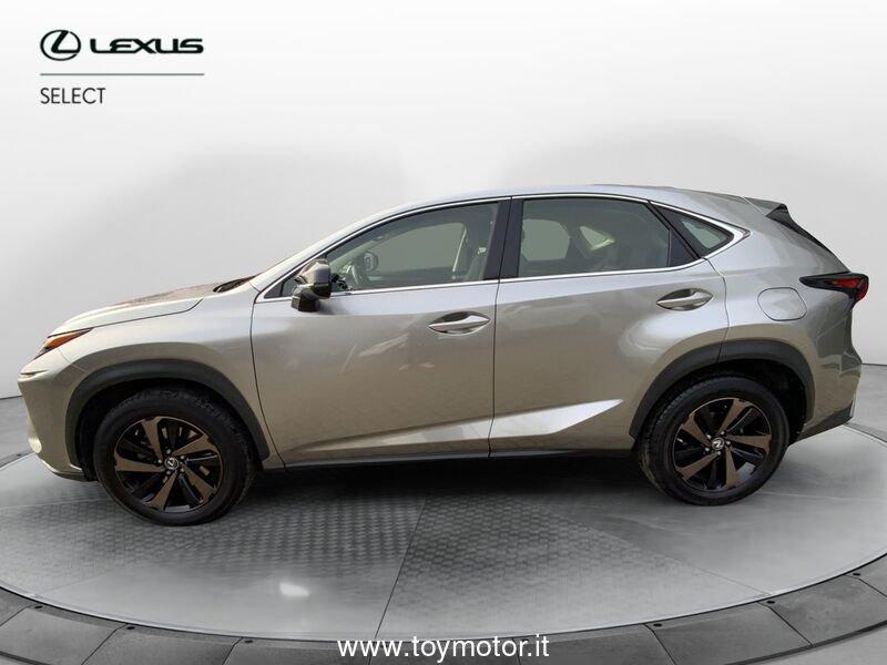 Lexus NX 1ª serie Hybrid 4WD F-Sport