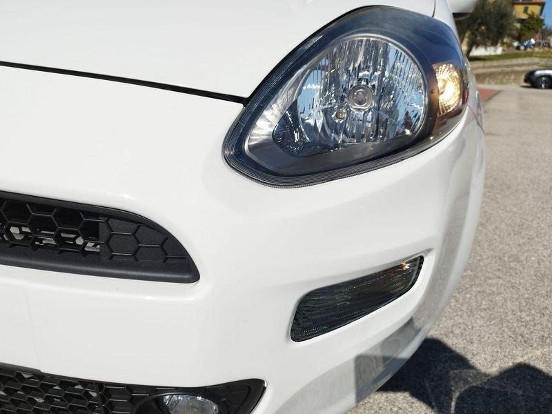 FIAT Punto Punto 1.4 8V 5 porte Natural Power Lounge