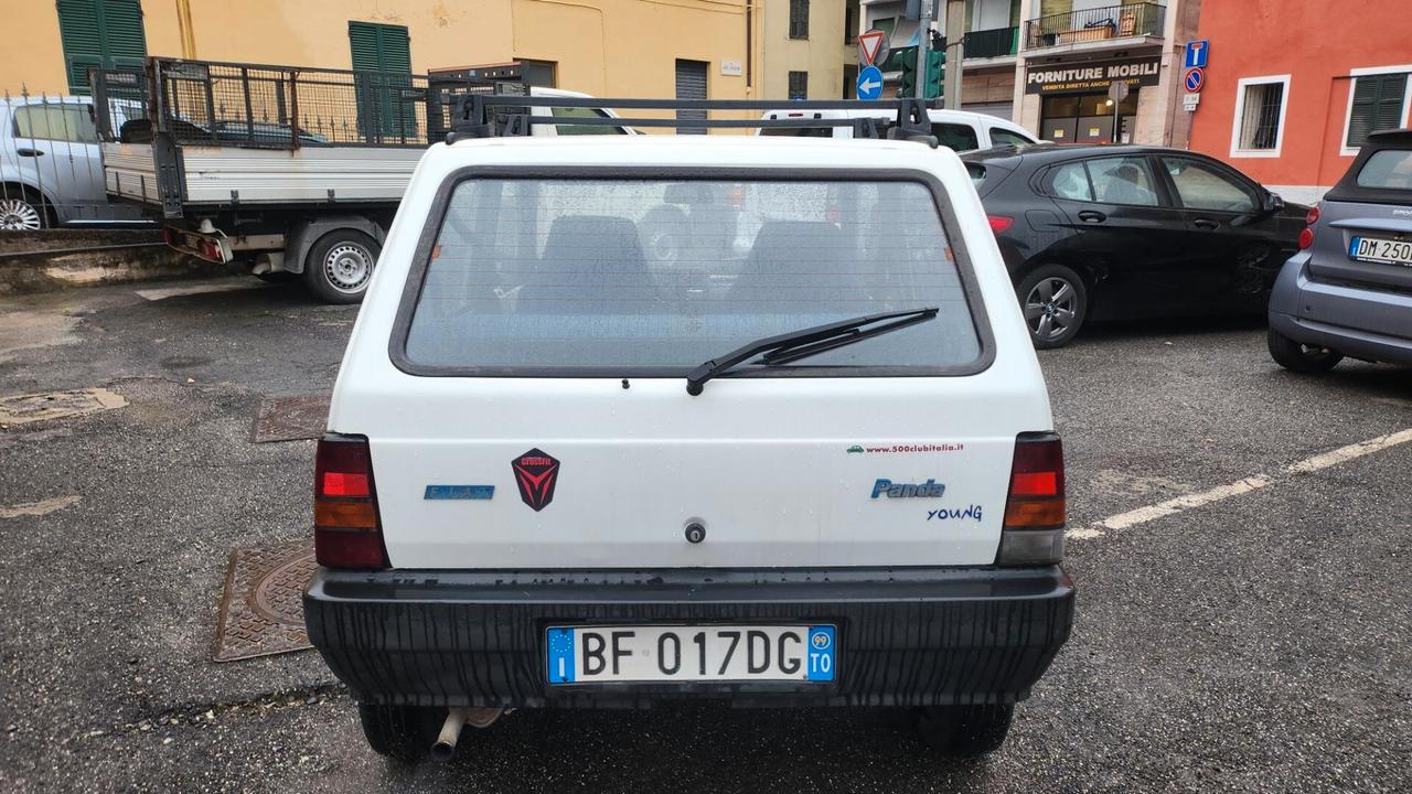 Fiat Panda 900 i.e. cat Young