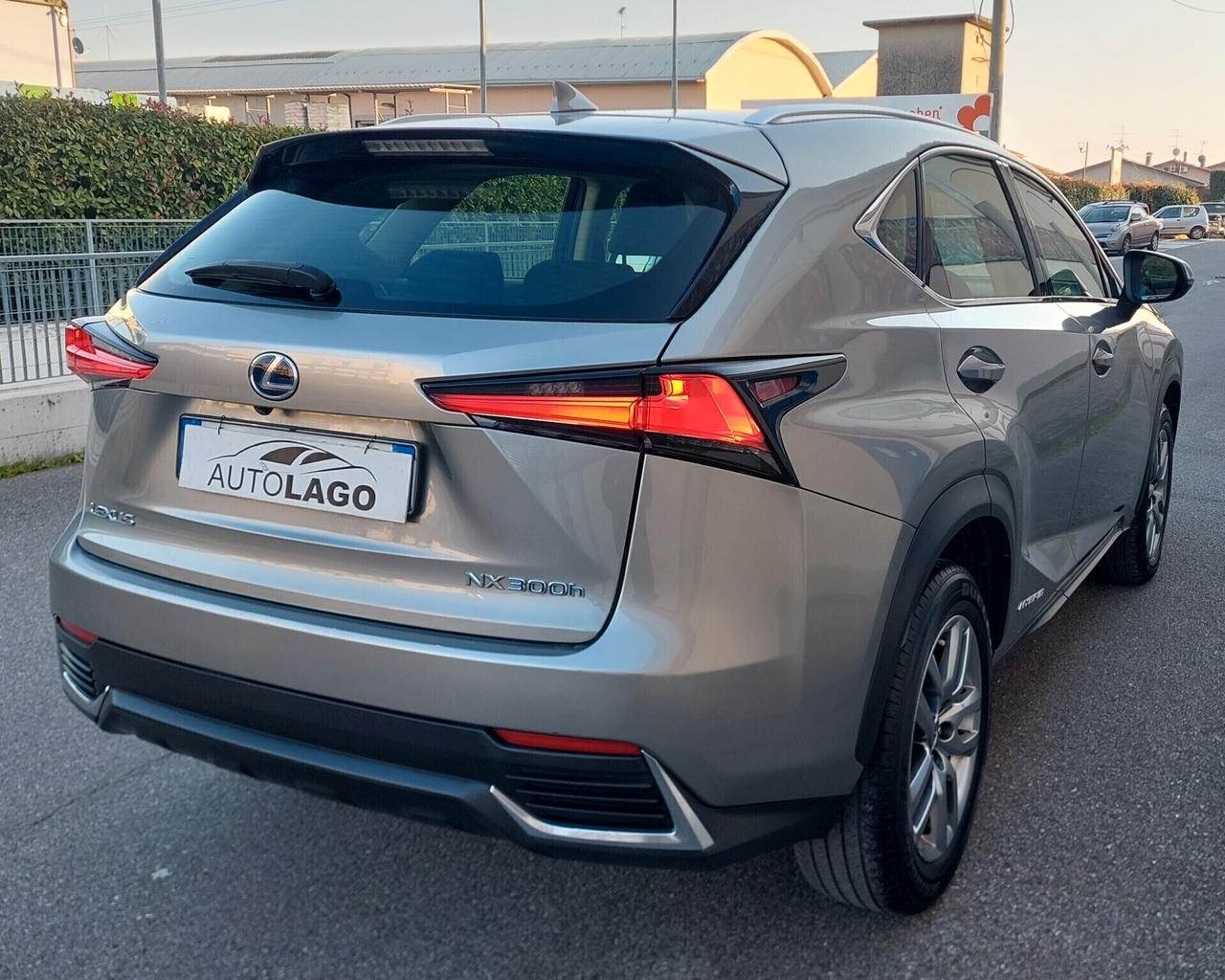 Lexus NX 300h NX Hybrid Business