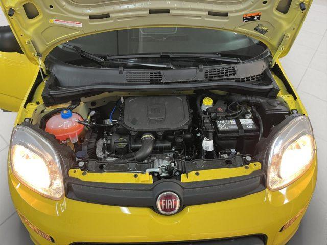 FIAT Panda 1.0 FireFly S&S Hybrid ADAS PROMO CAR SERENITY