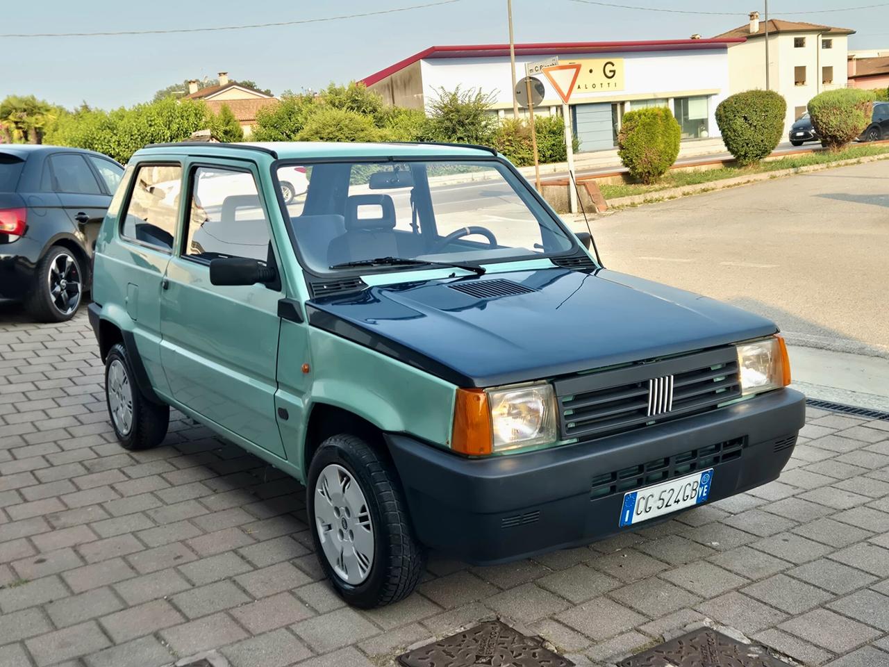 Fiat Panda 1100 i.e. cat Young
