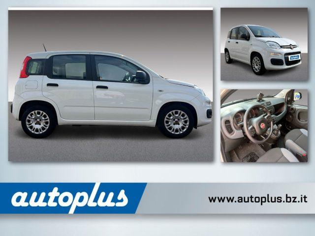 FIAT Panda 1.0 Mild Hybrid Urban