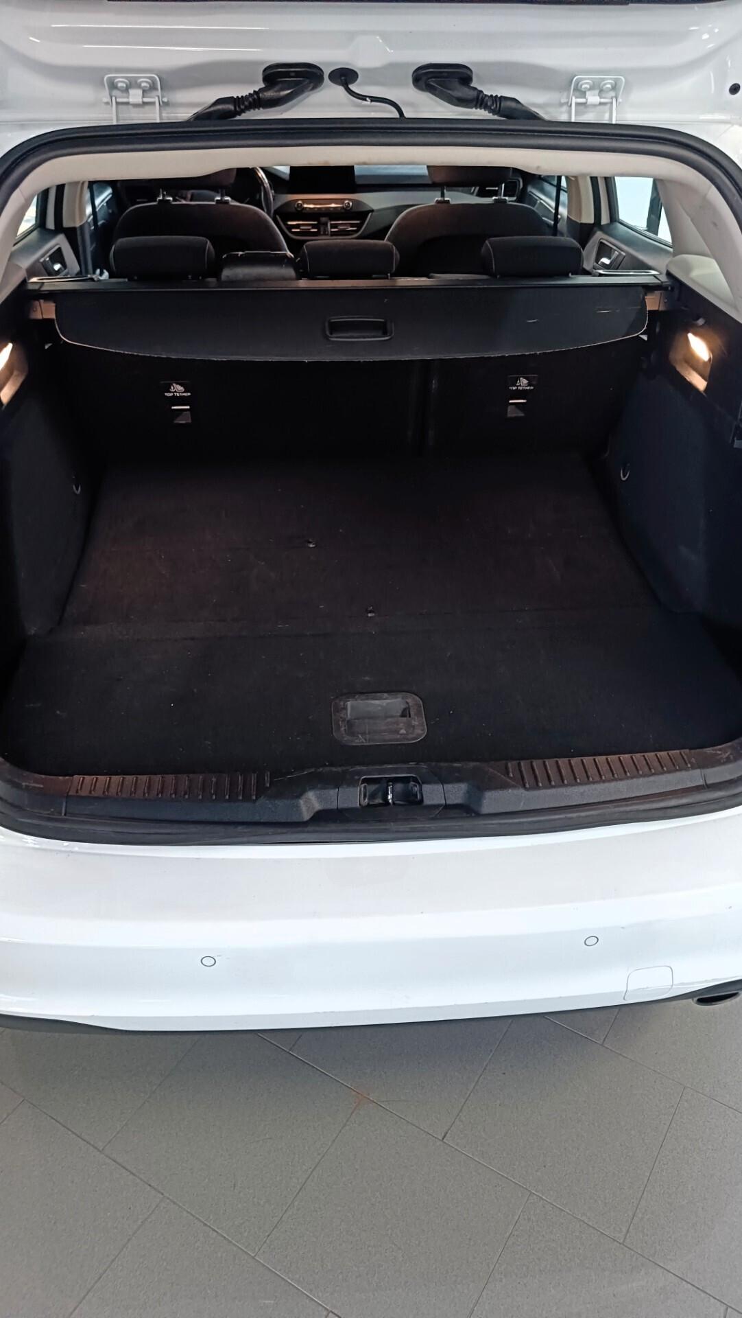 Ford Focus 1.5 EcoBlue 120 CV SW Business Bianca 2022