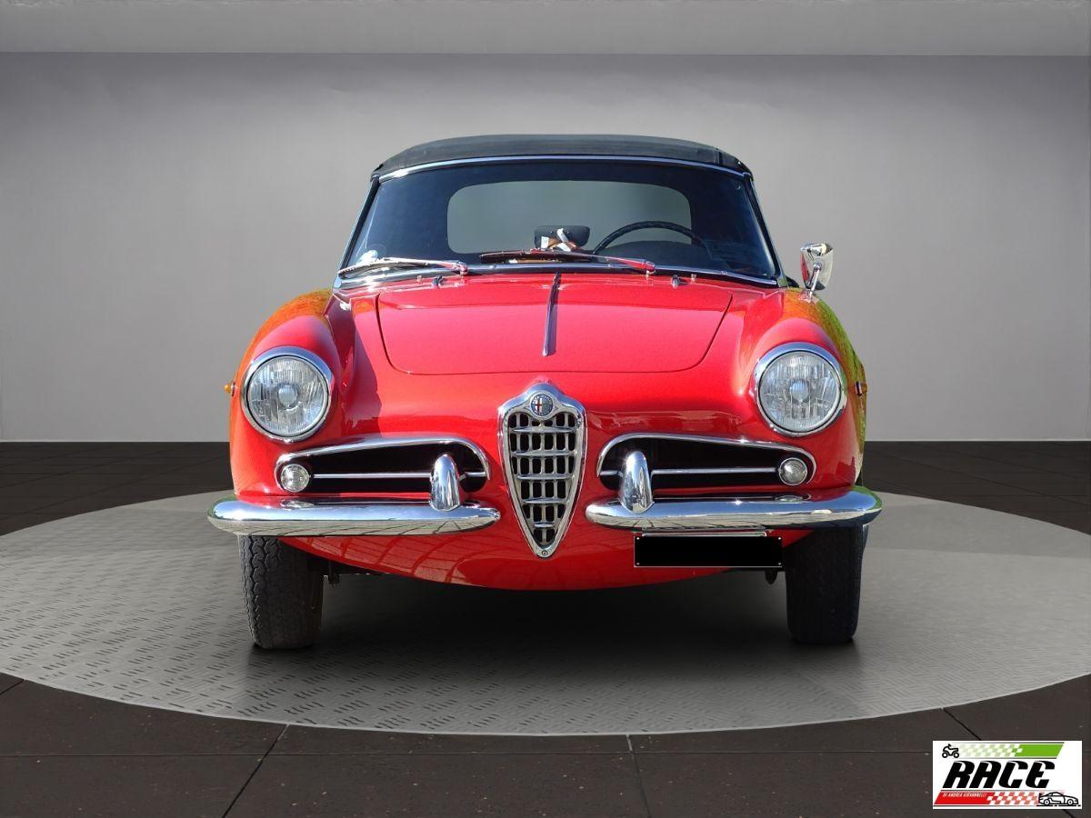 ALFA ROMEO - Spider