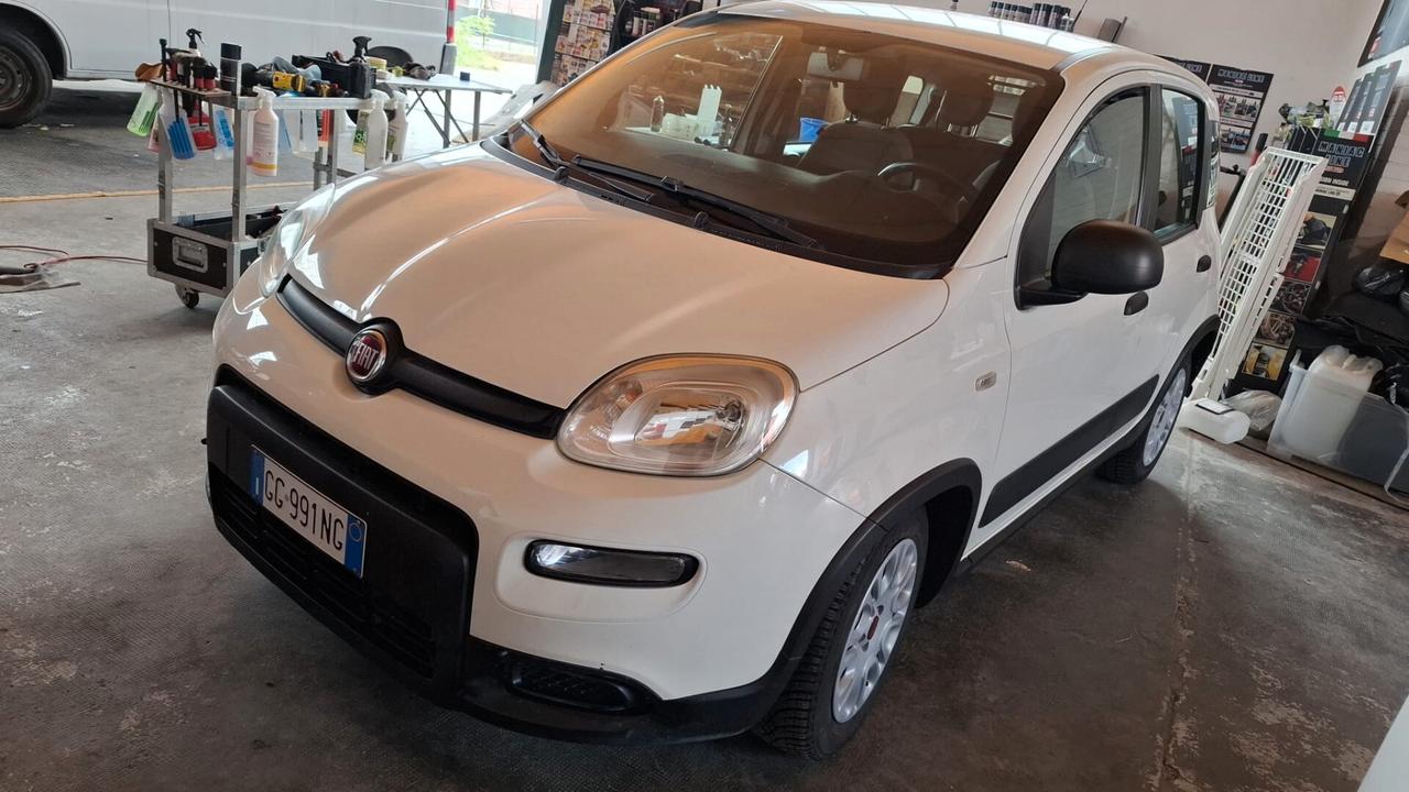 PANDA VAN 4 POSTI
