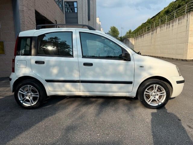 Fiat Panda 1.2 Dynamic "Solo per Export"