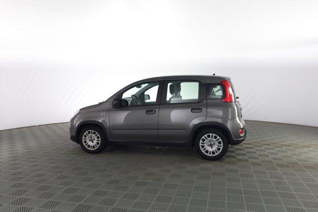 FIAT Panda Panda 1.0 FireFly Hybrid