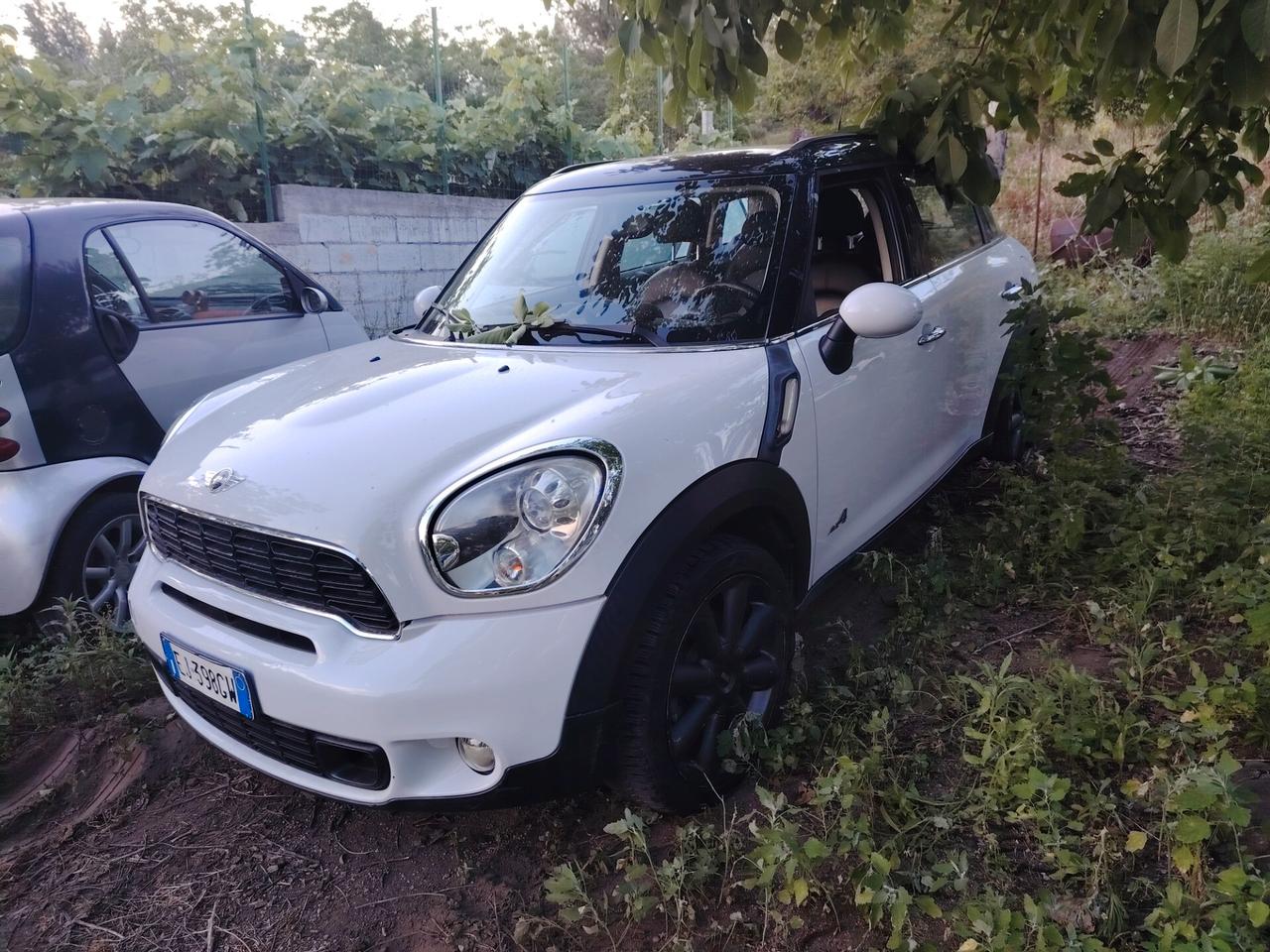 Mini Cooper SD Countryman Mini 2.0 Cooper D Countryman ALL4 Automatica