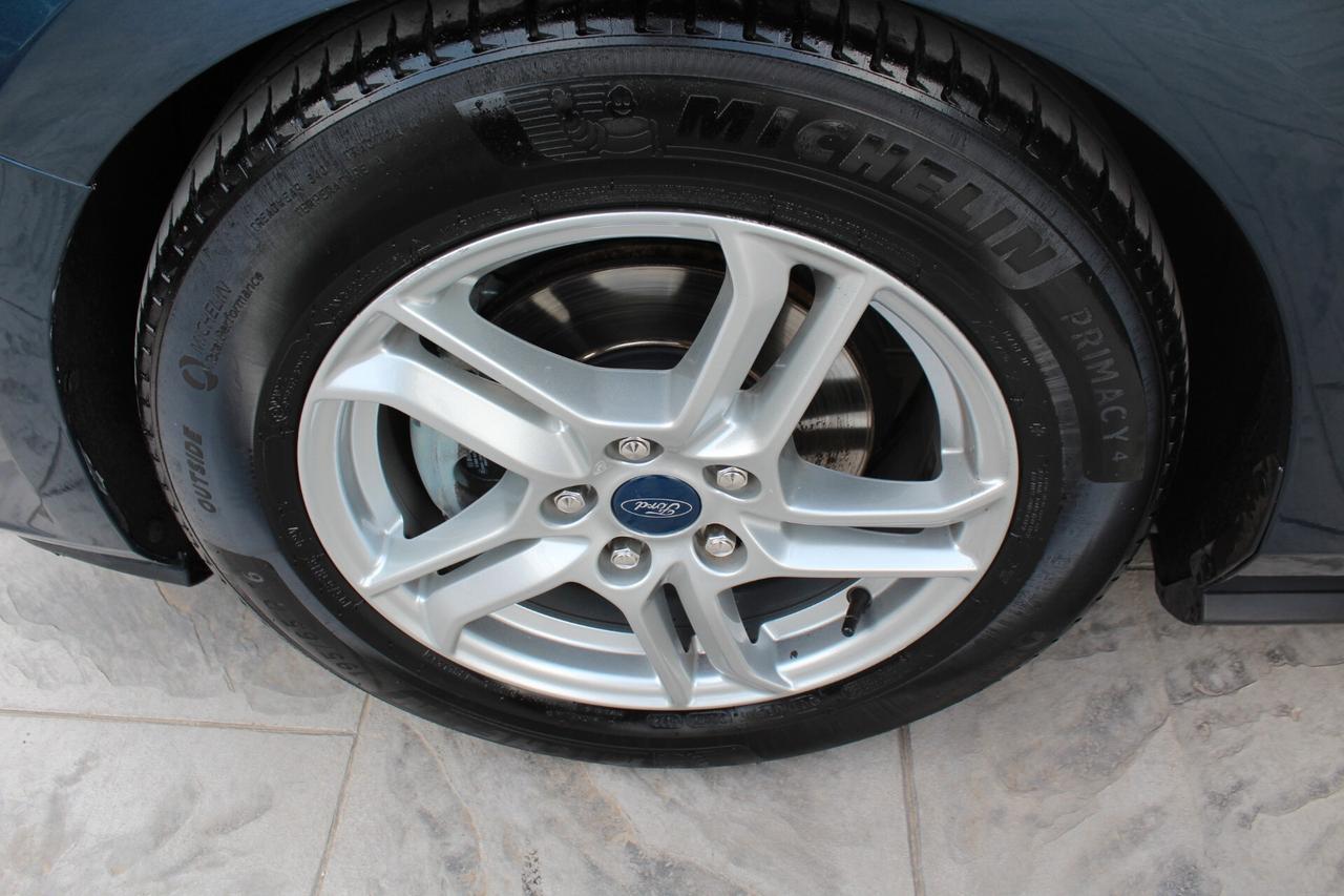 Ford Focus 1.5 EcoBlue 120 CV automatico 5p. Business Co-Pilot
