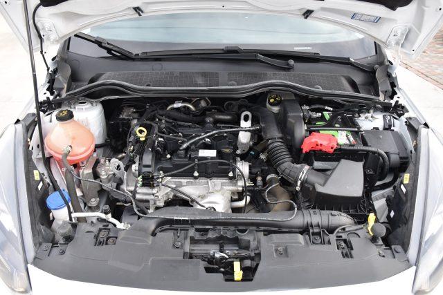 FORD Fiesta 1.1 75 CV 5 porte Business