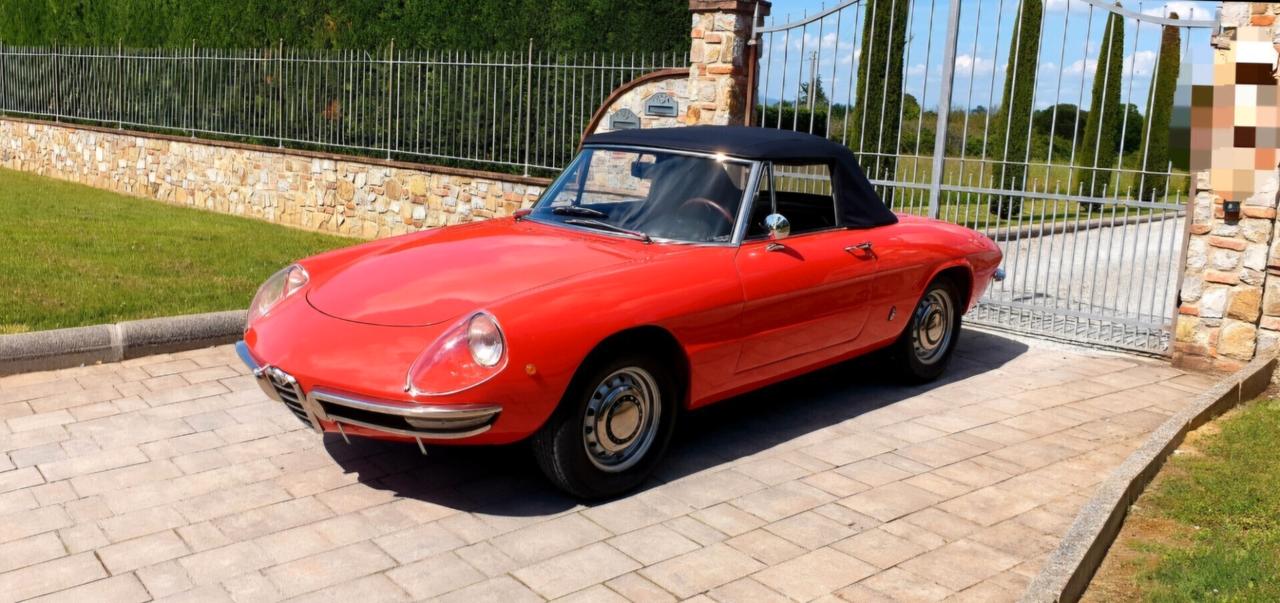 Alfa Romeo Spider Duetto osso di seppia 1750
