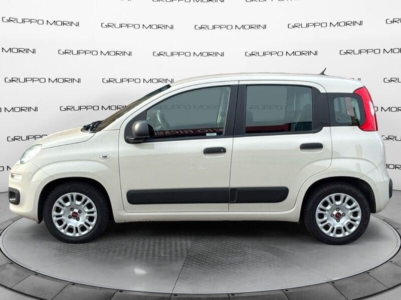 FIAT Panda Panda 1.2 Easy easypower Gpl 69cv