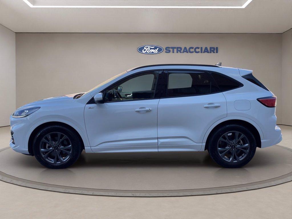 FORD Kuga 2.0 ecoblue ST-Line 2wd 120cv auto del 2024
