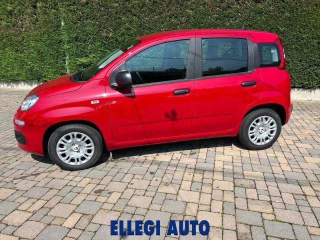FIAT Panda PROMO FINANZIAM 1.0 HYBRID ICON 5 posti KM 0