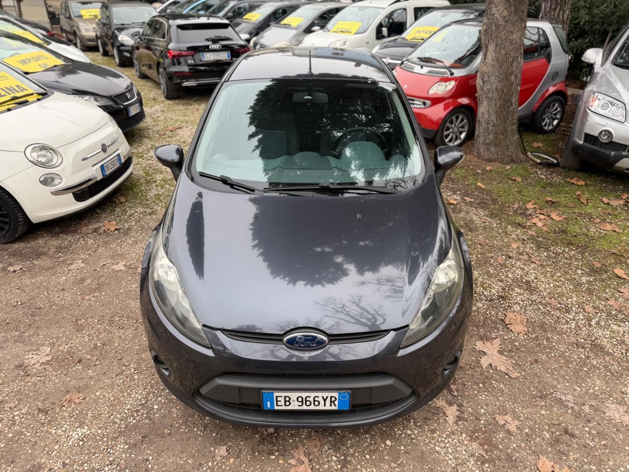 Ford Fiesta+ 1.4 5 porte Bz.- GPL NEOPATENTATI