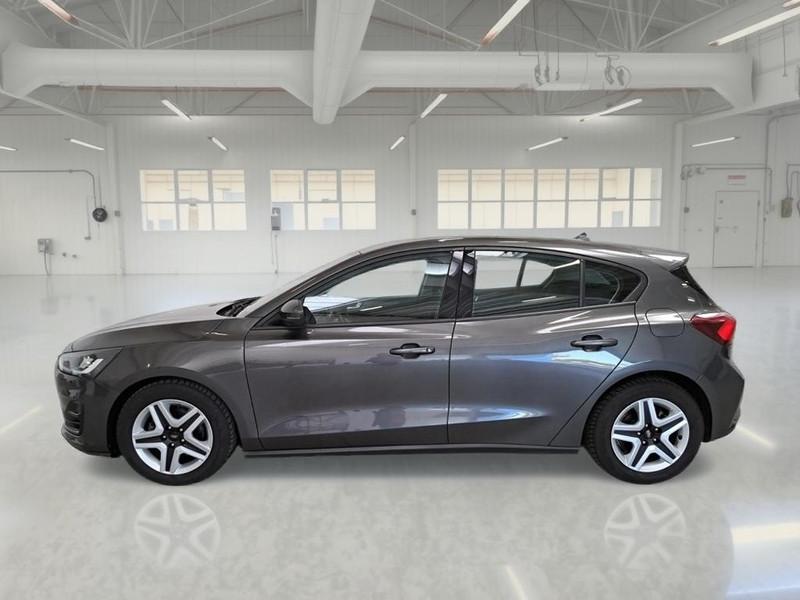 FORD FOCUS 1.5 Ecoblue 120cv Business Cambio Autom. 5 PORTE