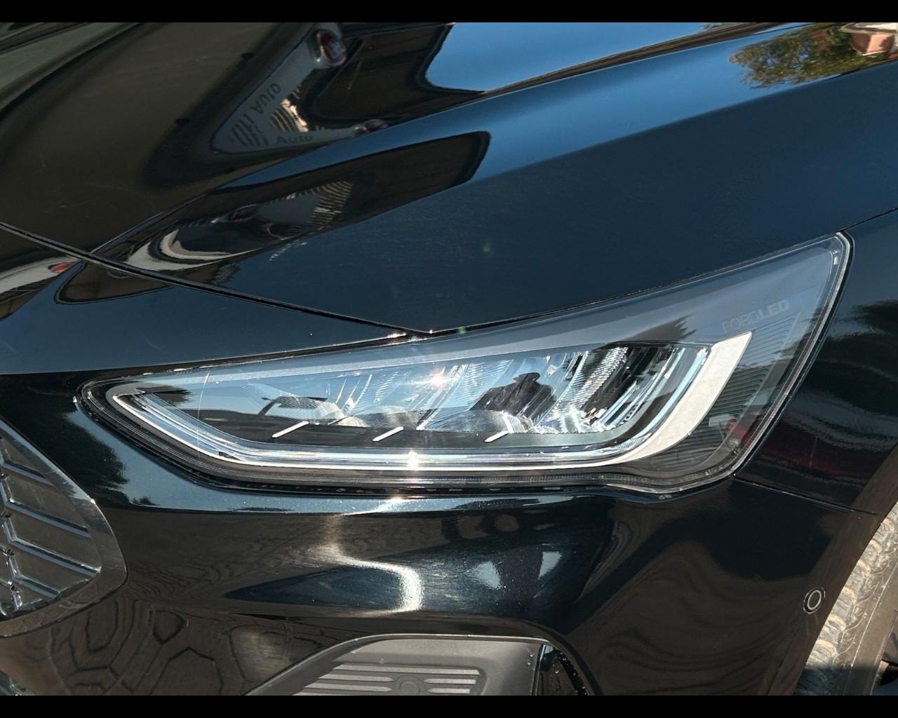 FORD Focus V - Focus 1.5 ecoblue ST-Line 120cv