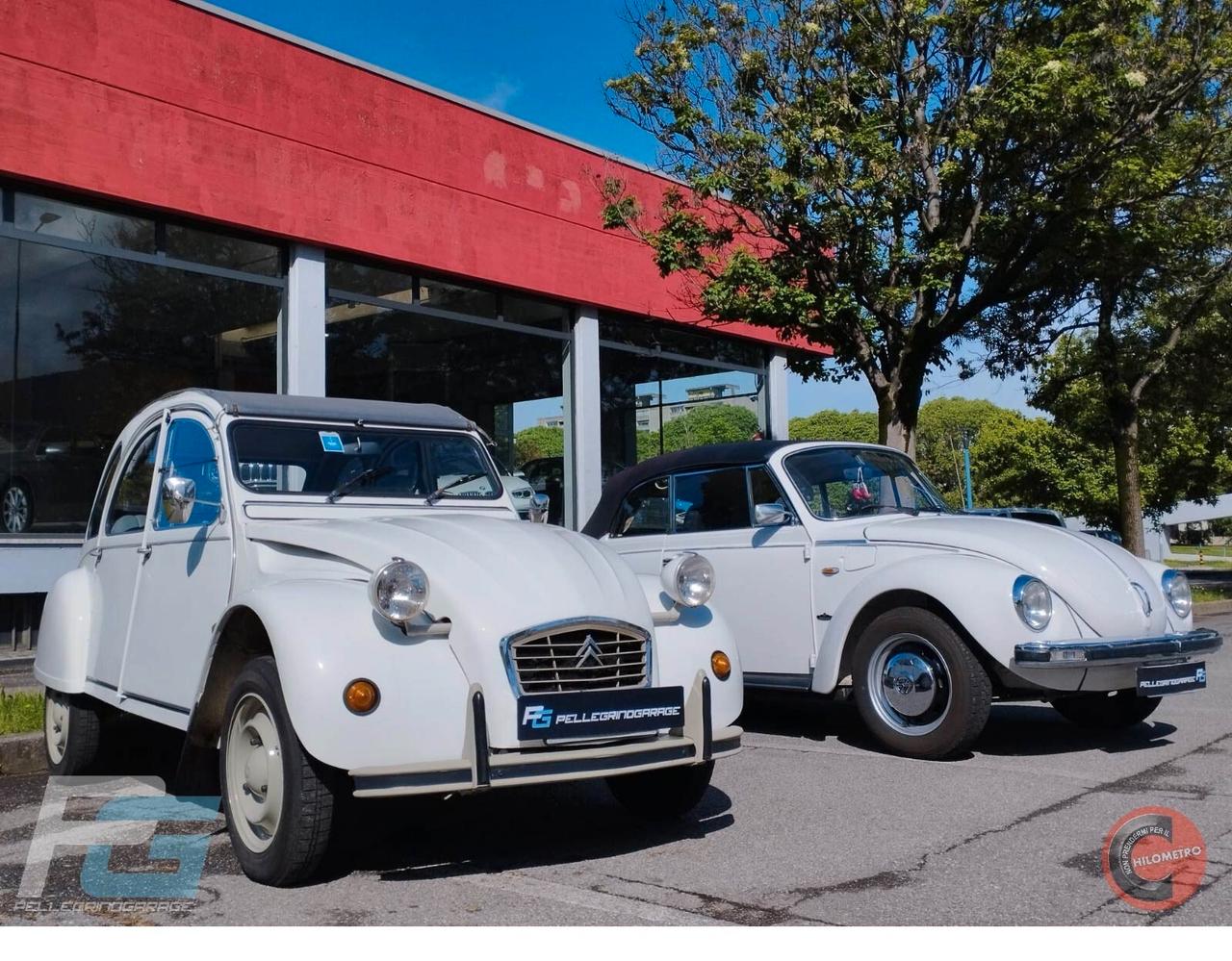 Citroen 2CV special