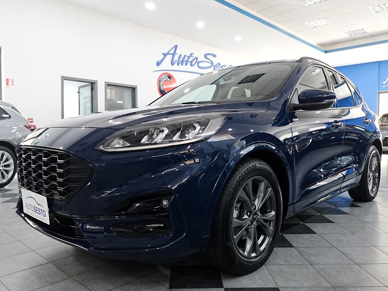 Ford Kuga 2.0 EcoBlue 120 CV POWERSHIFT ST LINE