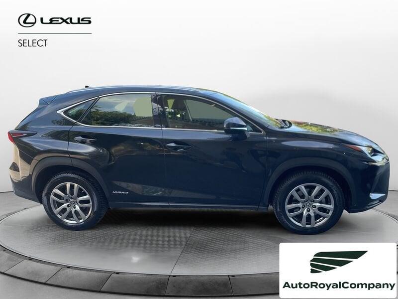 Lexus NX NX Hybrid Business VENDUTA