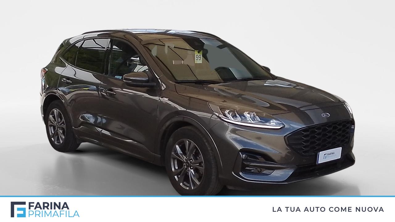 FORD Kuga III 2020 - Kuga 1.5 ecoblue ST-Line 2wd 120cv