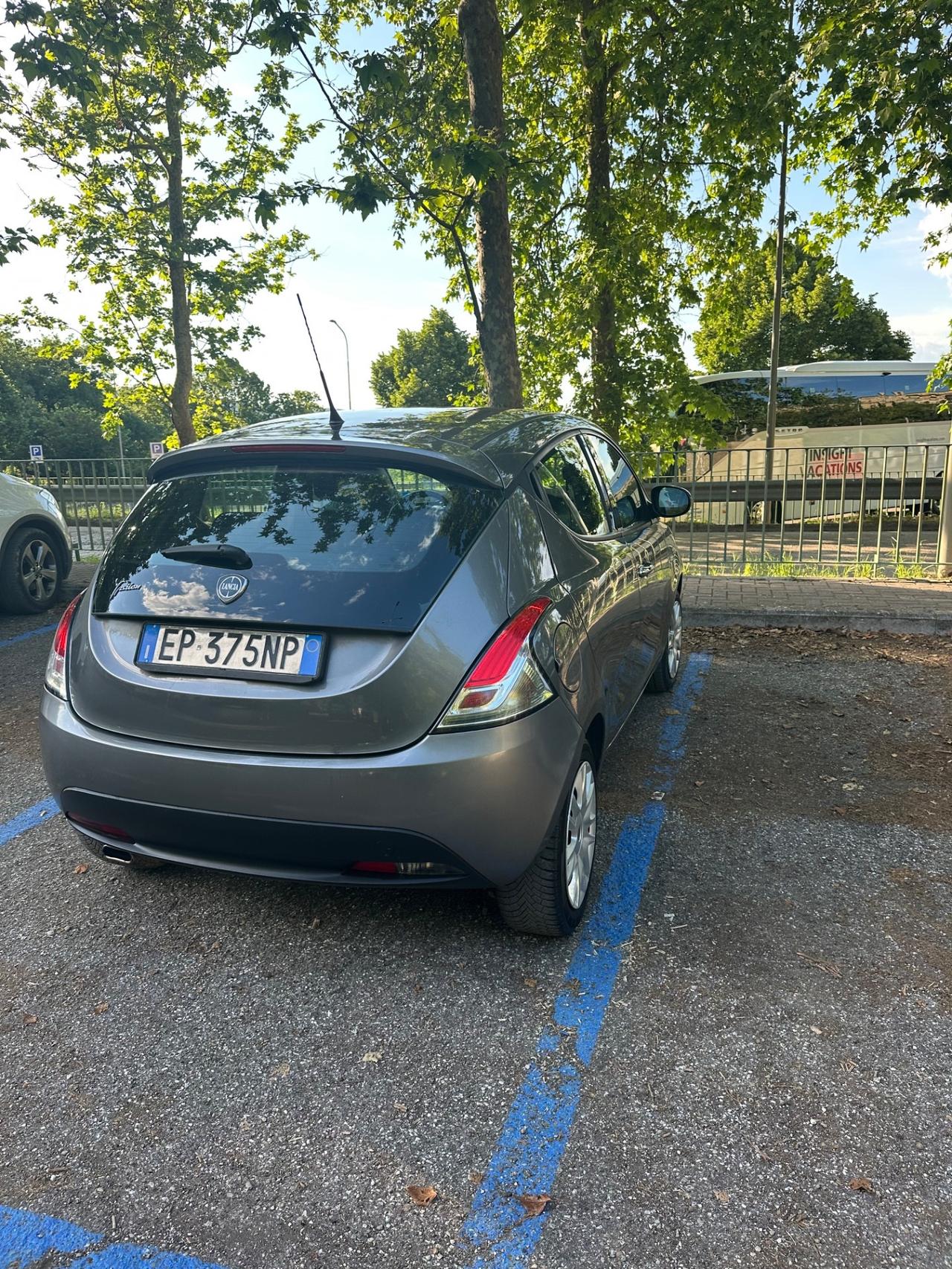 Lancia Ypsilon 1.3 MJT 16V 95 CV 5 porte S&S Platinum