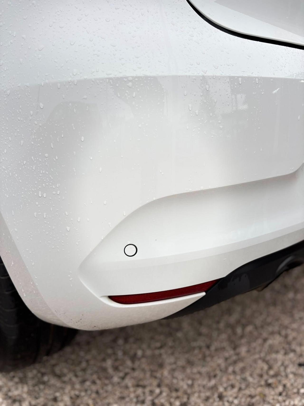 Renault Clio Blue dCi 85 CV 5 porte Business