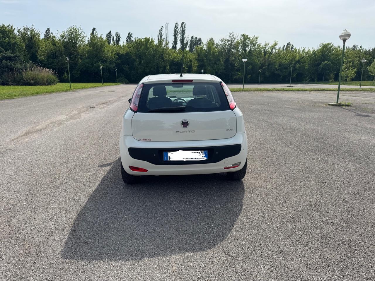 Fiat Punto Evo 1.4 5 porte Dynamic EasyPower