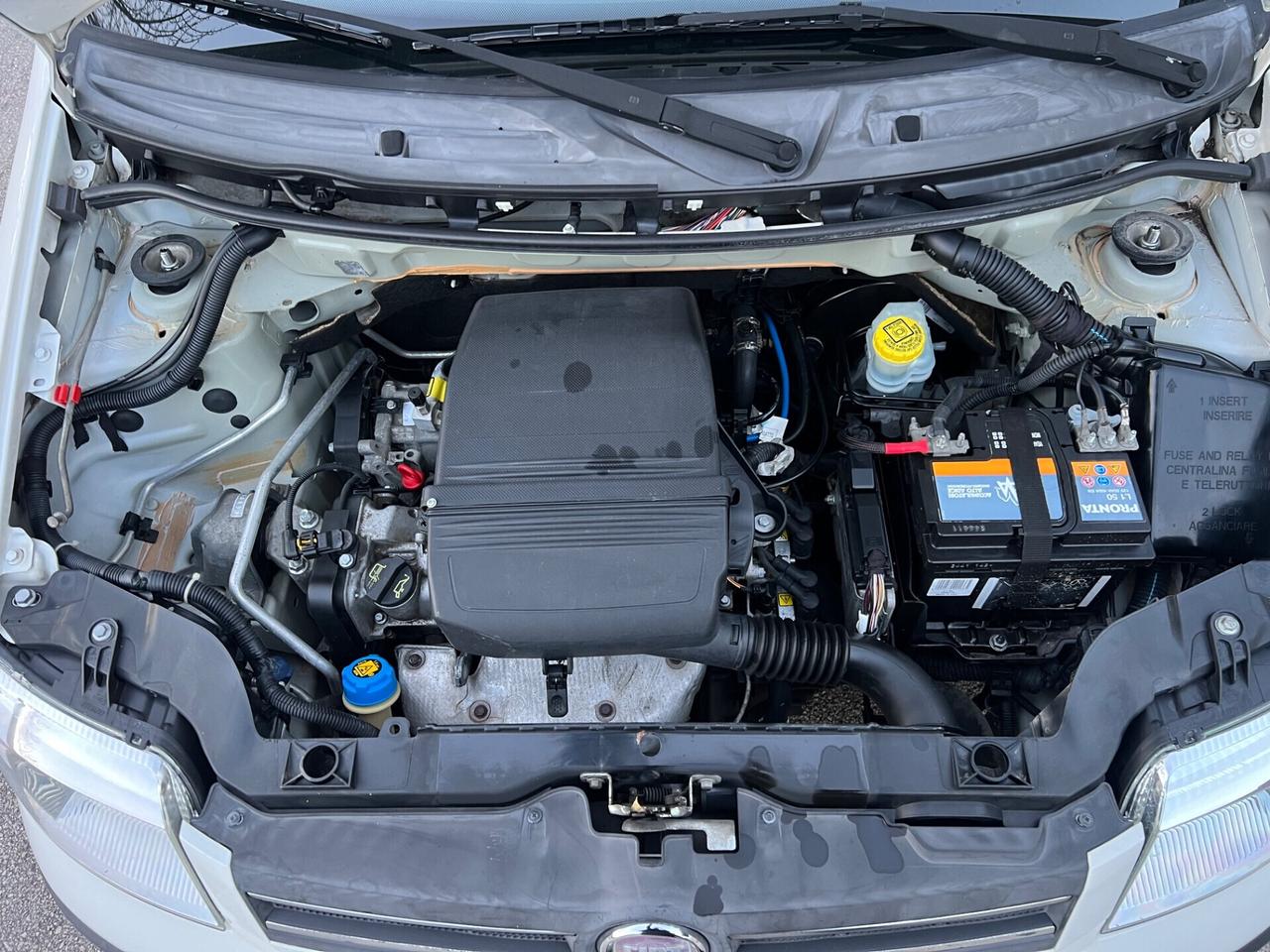 Fiat Panda 1.2 benzina 69cv 2009 Emotion