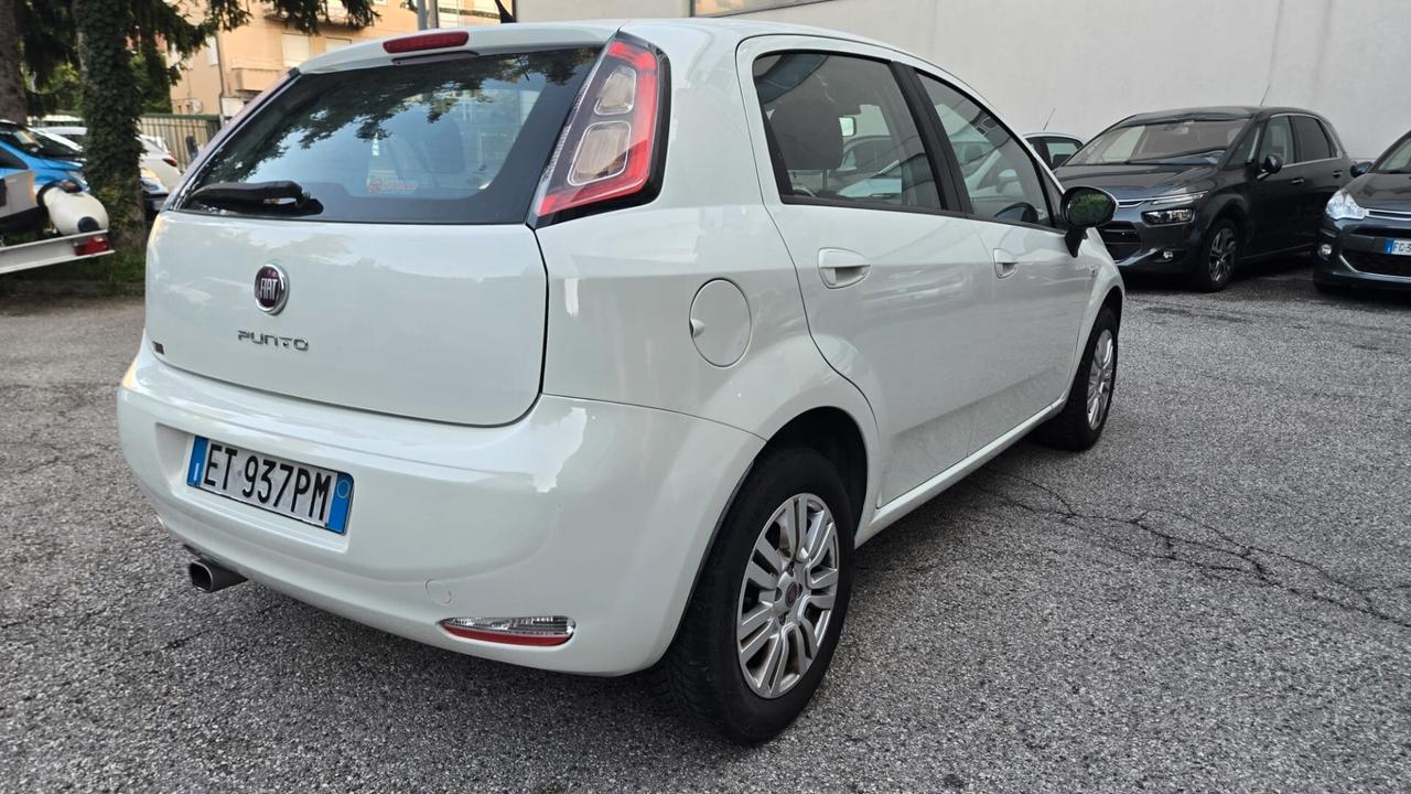 Fiat Punto 1.2 8V 5 porte Street Ok Neopatentati