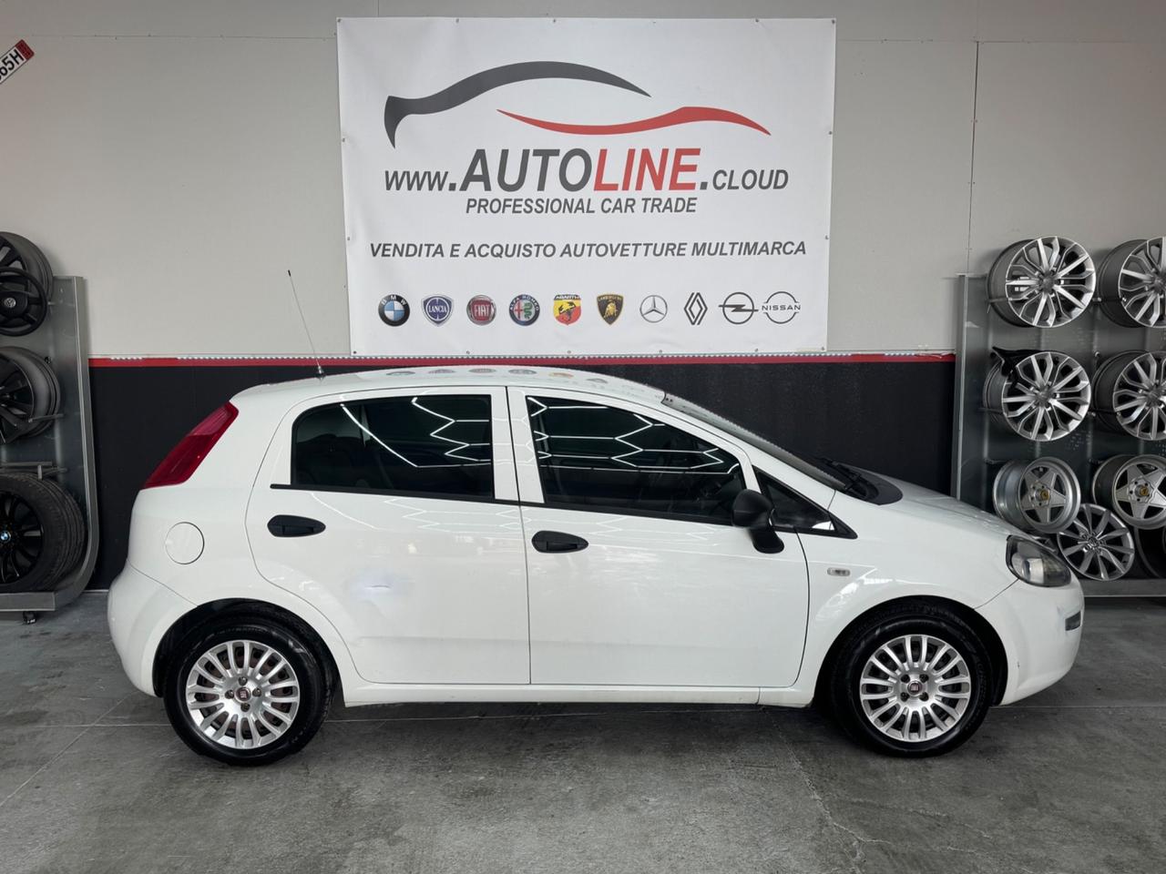 Fiat Punto 1.3 MJT 95CV 5 porte Van 4 posti N1