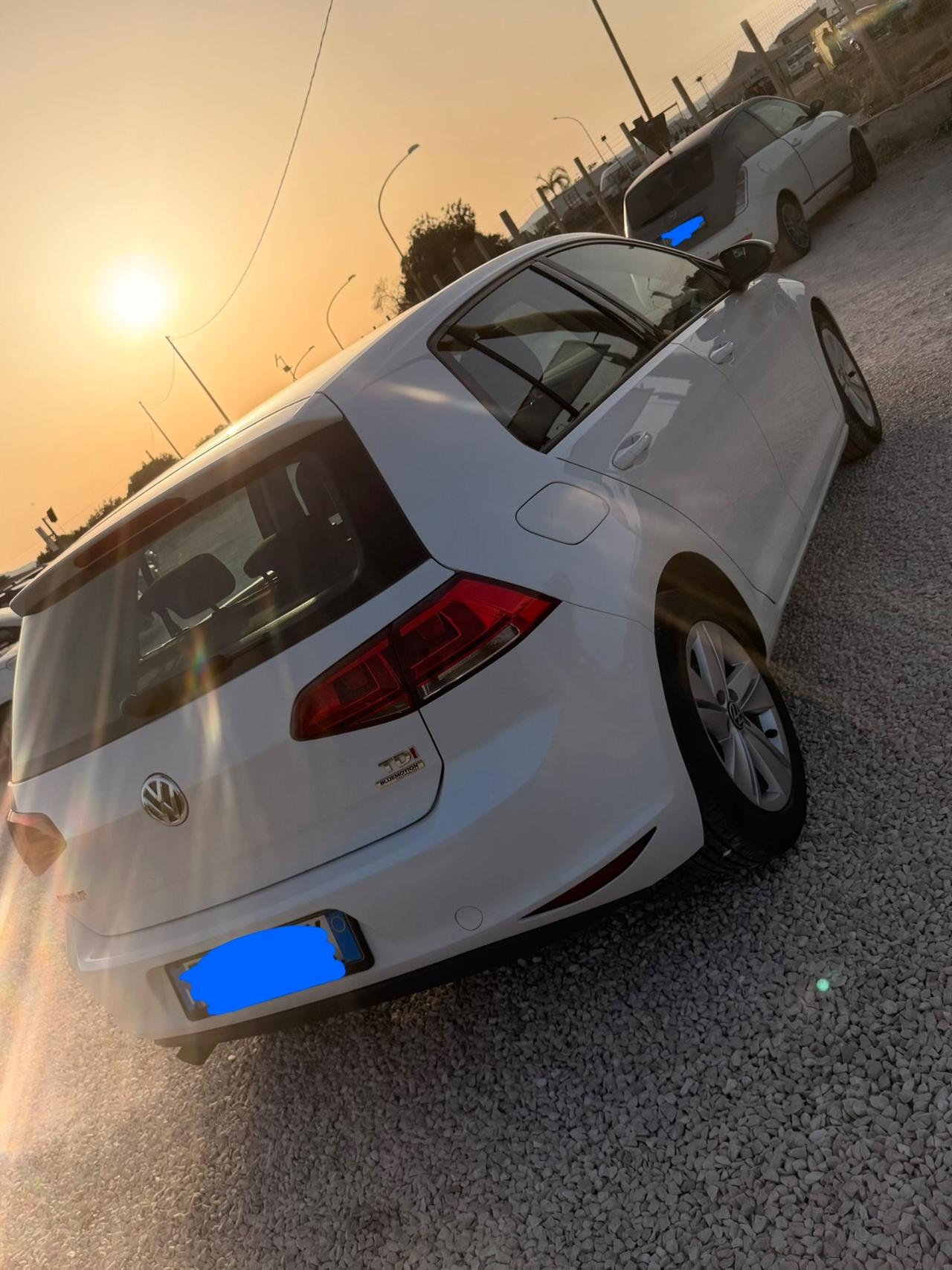 Volkswagen Golf 7 1.6 TDI 5p. Comfortline BlueMotion
