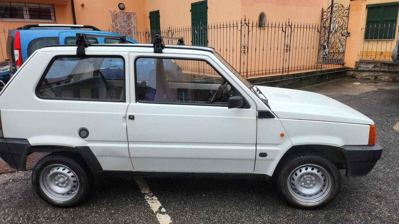 Fiat Panda 900 i.e. cat Young