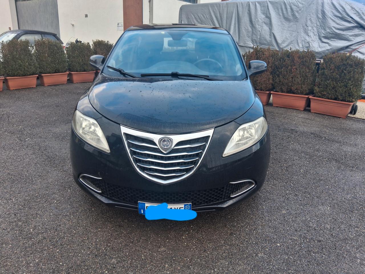 Lancia Ypsilon 1.2 69 CV 5 porte S&S Gold