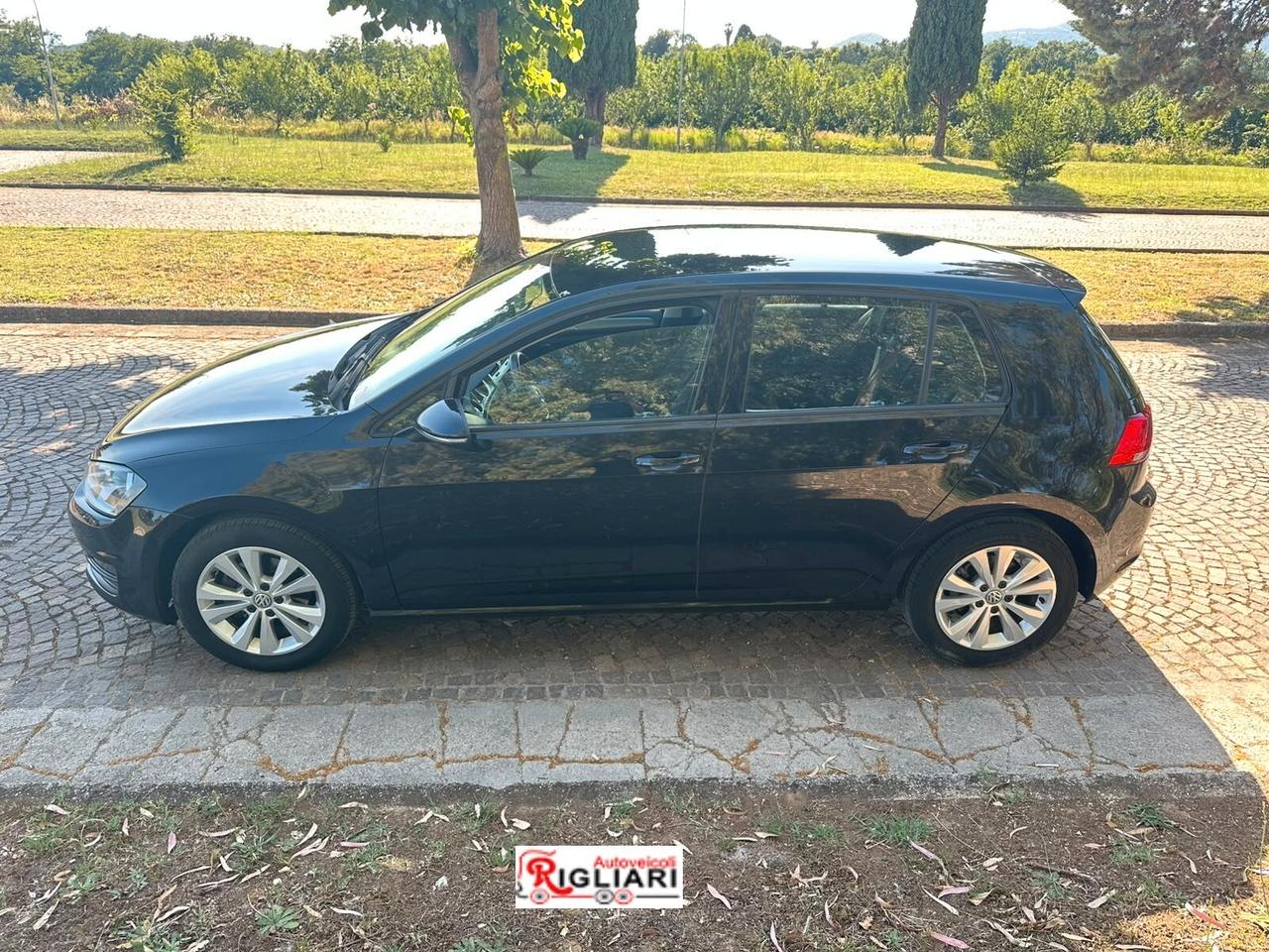 Volkswagen Golf 1.6 TDI 110 CV 5p. Comfortline Business