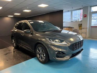 FORD Kuga 2.0 EcoBlue 120 CV aut. 2WD ST-Line - VARI COLORI!