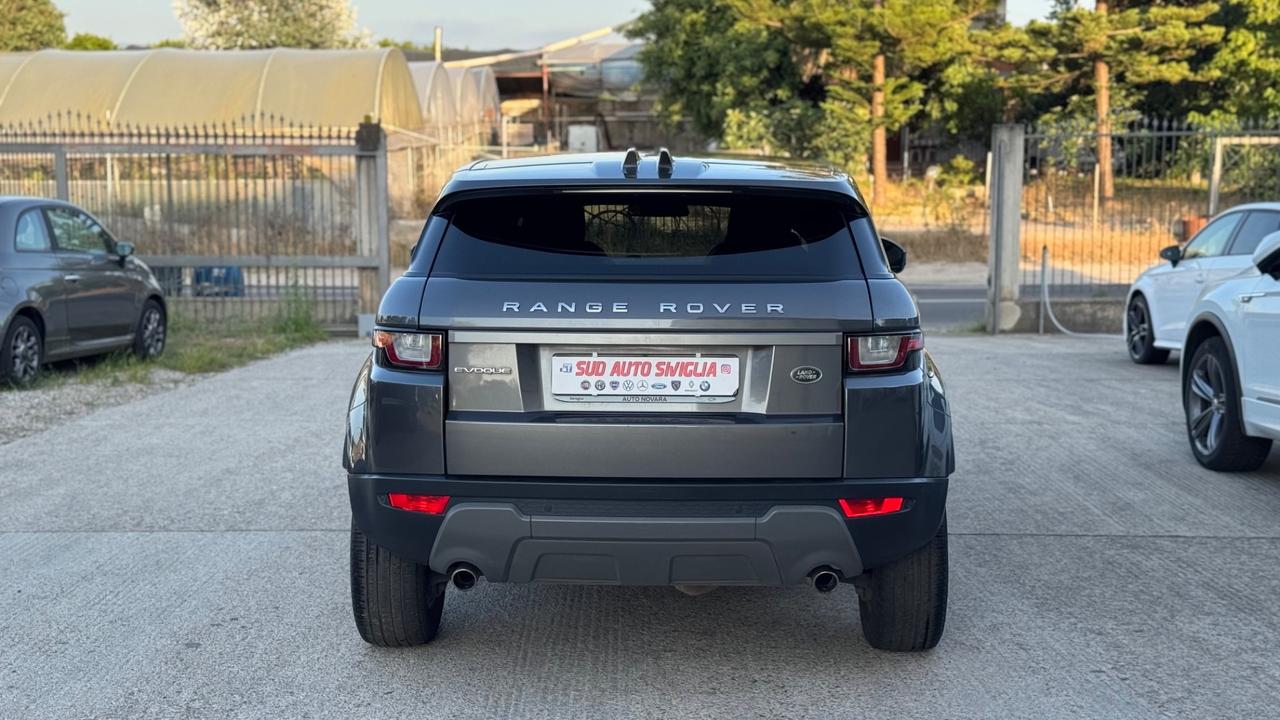 Range Rover Evoque 2.0 TD4 150 CV 5p. Pure Catena rumorosa