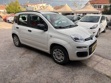 Fiat Panda 1.2 Lounge neopatentati