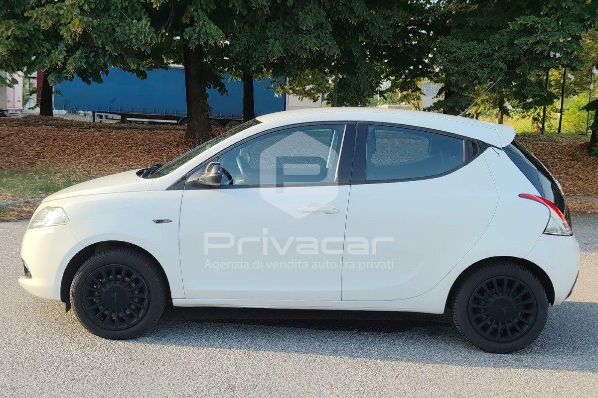 LANCIA Ypsilon 1.2 69 CV 5 porte Elefantino