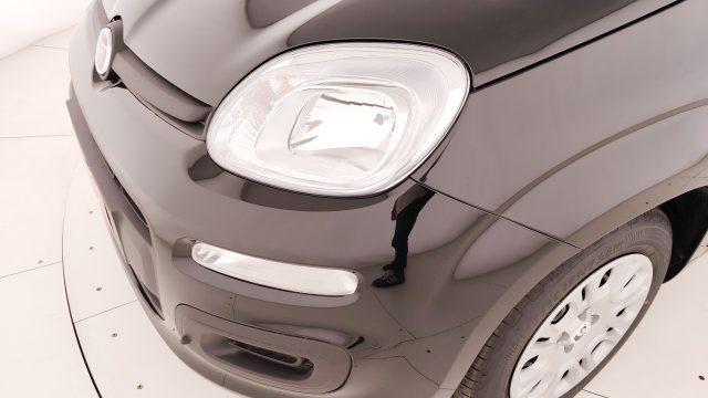 FIAT Pandina 1.0 FireFly 65 CV Hybrid Icon