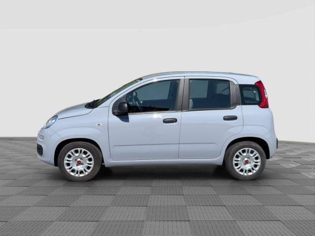 FIAT Panda Panda 1.0 FireFly Hybrid