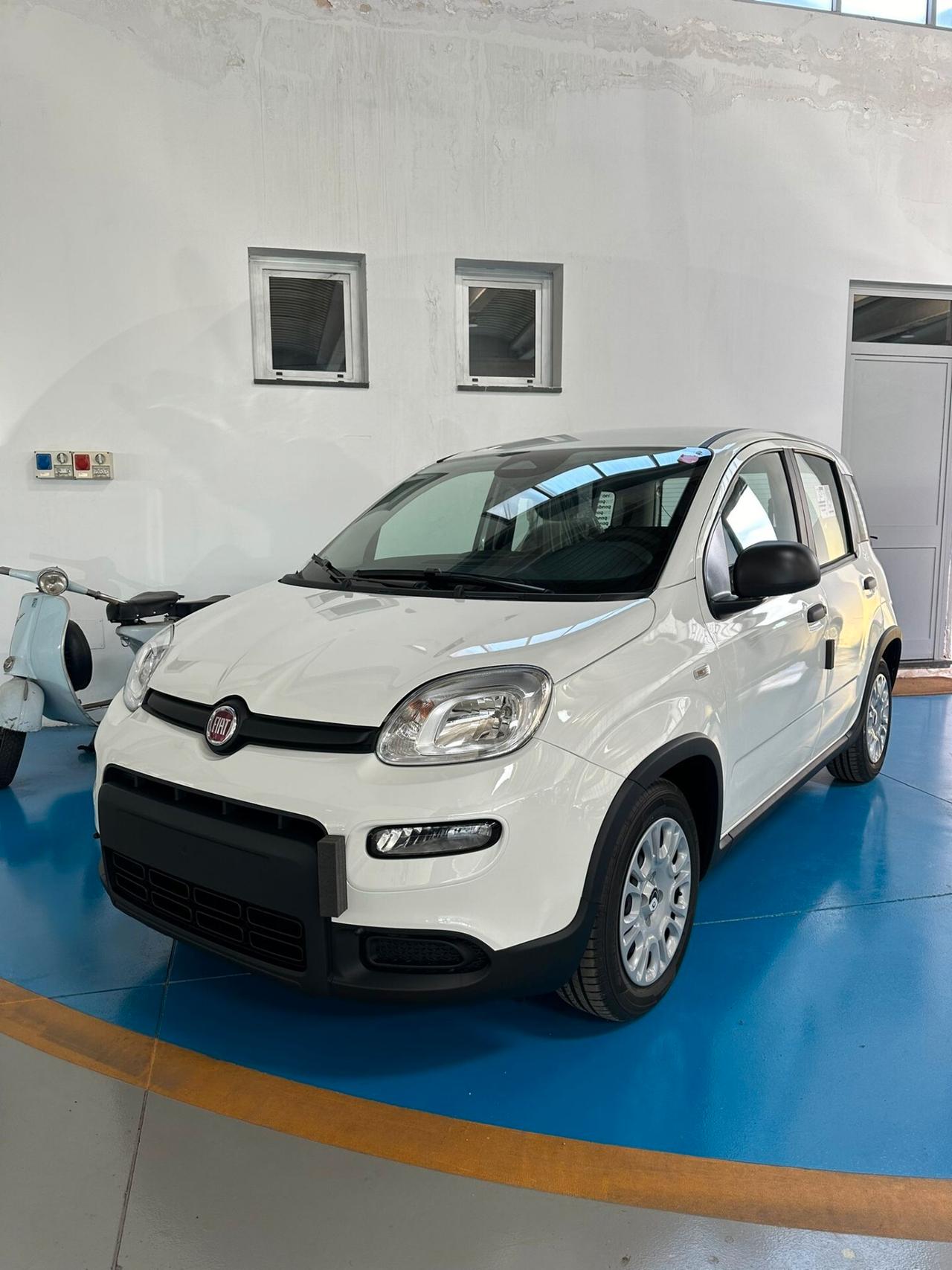 FIAT PANDA 1.0 Hybrid KM 0 2024 Nuova PANDINA