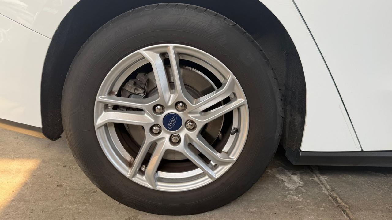 Ford Focus 1.5 EcoBlue 120 CV automatico SW Business Co-Pilot